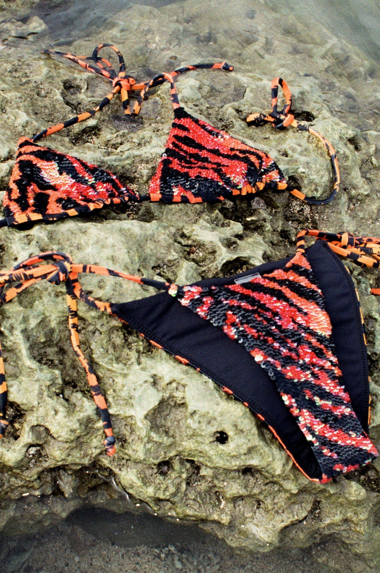 Hand-Sequined Elektra - Classic Tiger Hand-Sequined Elektra - Classic Tiger