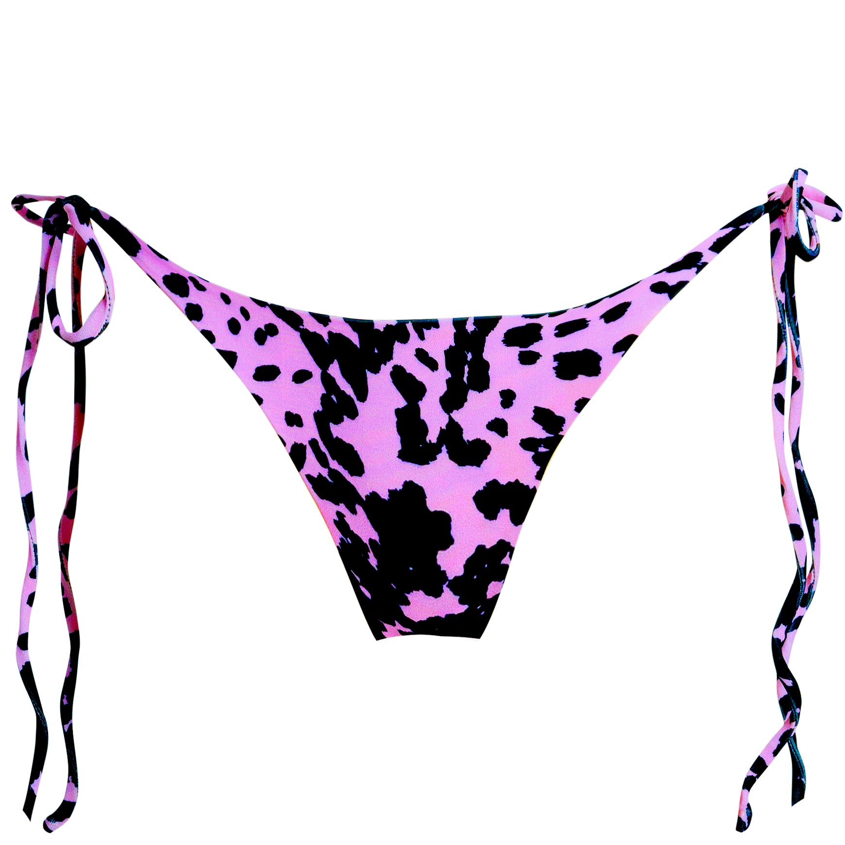 Elektra - Violet Dalmatian Elektra - Violet Dalmatian