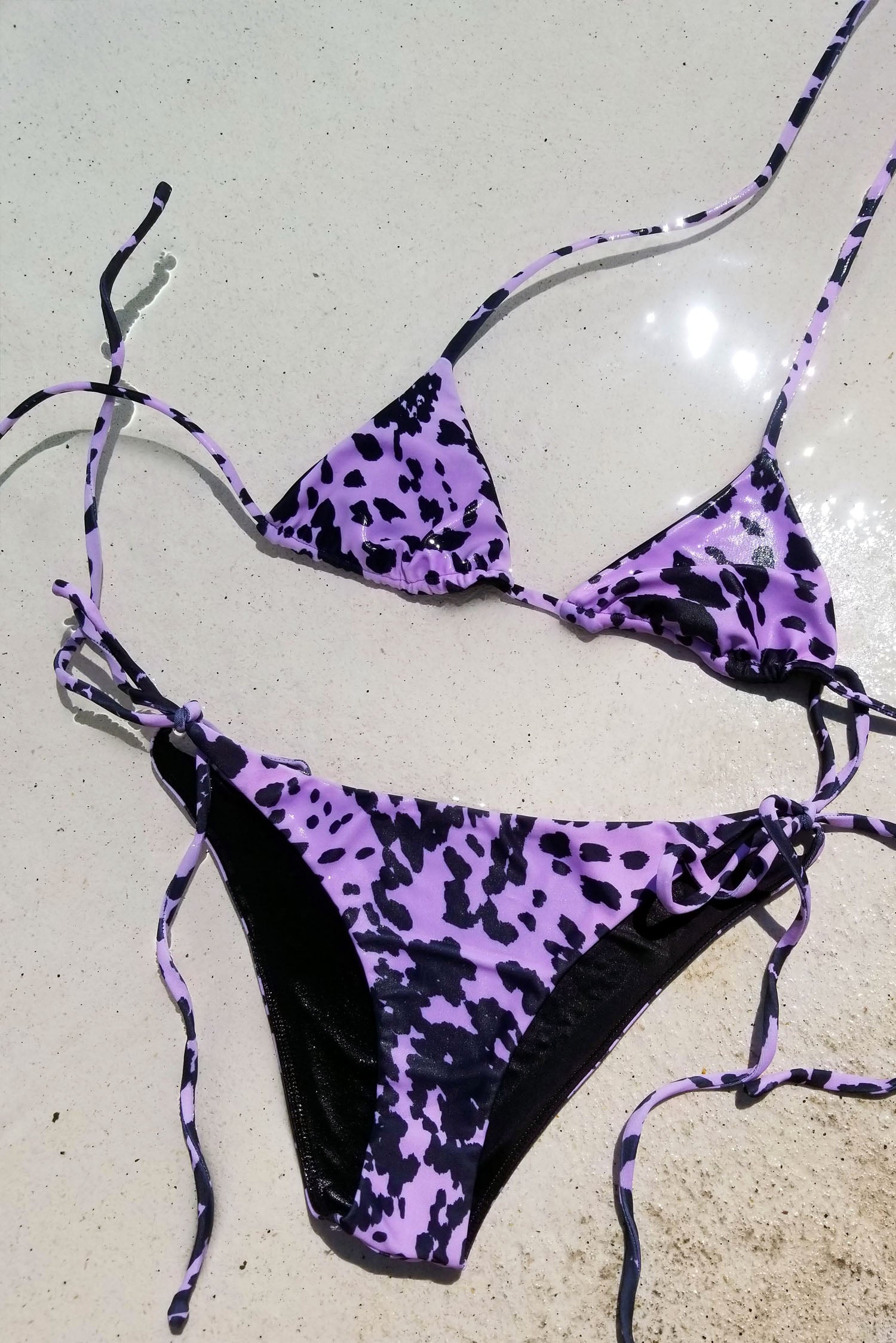 Elektra - Violet Dalmatian Elektra - Violet Dalmatian