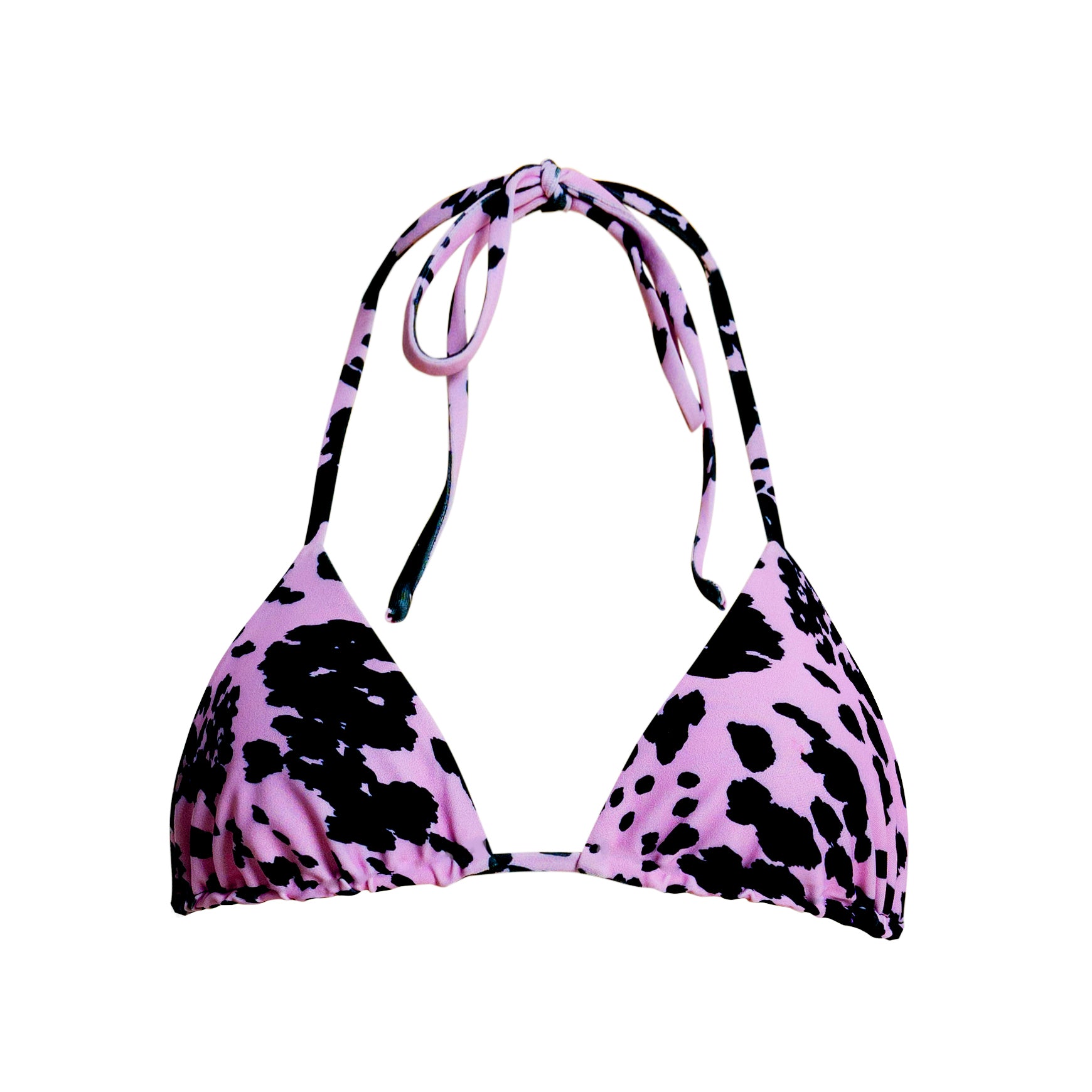 Svana - Violet Dalmatian Svana - Violet Dalmatian
